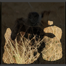layer2-218