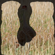 layer2-218