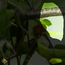 layer0-1501