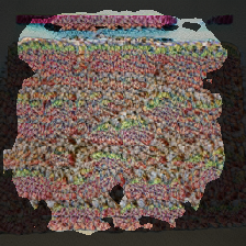 layer2-219