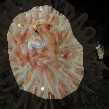 layer0-1413