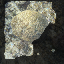 layer1-577