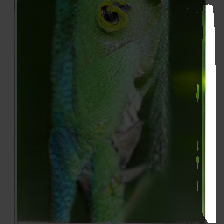 layer3-341