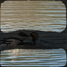 layer2-225