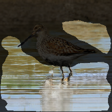 layer2-225