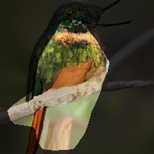 layer1-78
