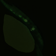 layer1-205
