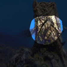 layer0-931