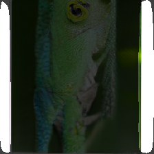 layer2-228