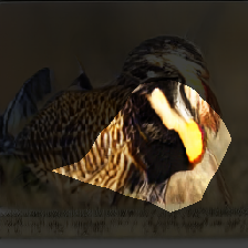 layer0-934