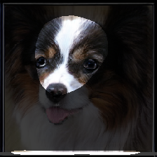 layer1-208