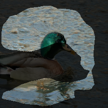 layer1-209