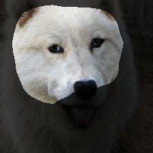 layer1-583