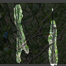 layer2-231