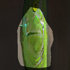 layer0-937