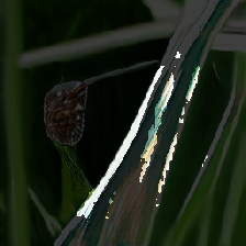 layer4-96