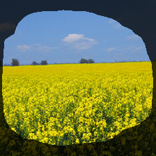 layer1-212
