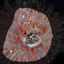 layer0-938