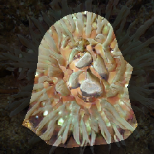 layer0-938