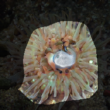 layer0-938