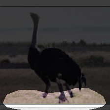 layer0-939