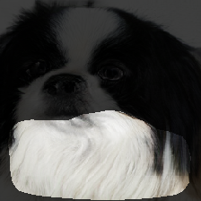 layer1-589
