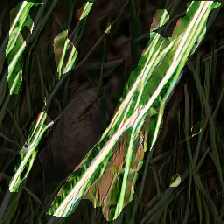 layer2-236