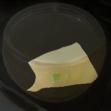 layer0-1519