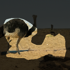 layer1-591