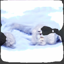 layer2-110