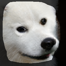 layer1-595