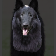 layer2-238