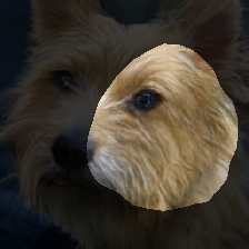 layer1-222