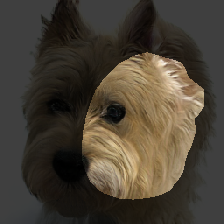 layer1-222