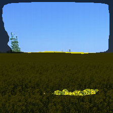 layer2-239