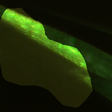 layer0-1526