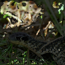 layer4-106