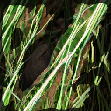 layer2-241