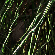 layer4-109