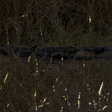 layer4-109
