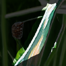 layer1-599