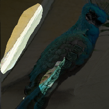 layer1-599