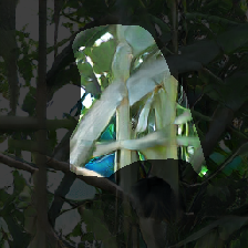 layer0-950