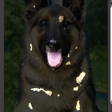 layer4-111