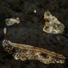 layer2-245