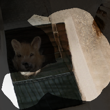 layer0-1531