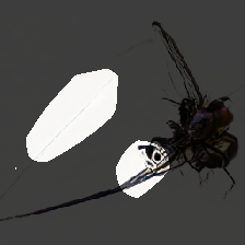 layer0-1532