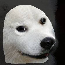 layer1-228