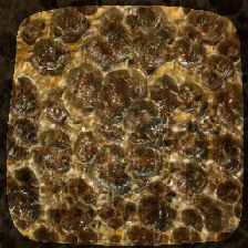 layer1-229