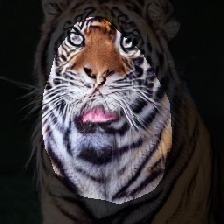 layer1-230